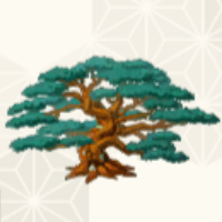 大きな松の木.png